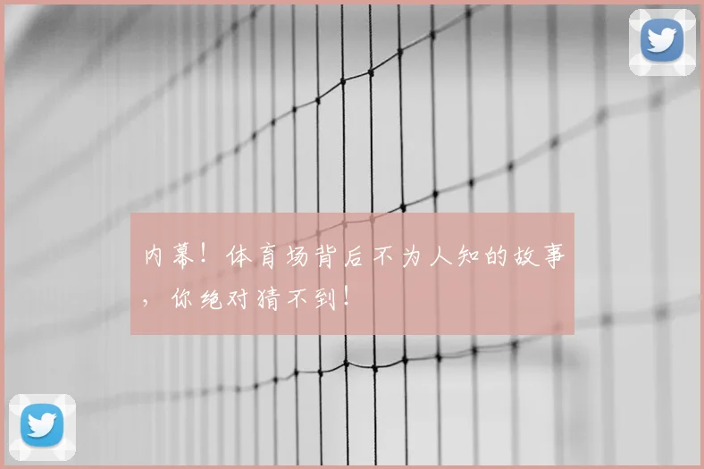 内幕！体育场背后不为人知的故事，你绝对猜不到！